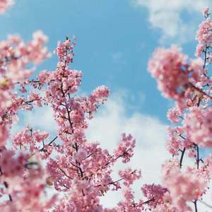 13🈲🍆🍆🍆🍆大色会
